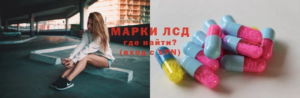 гашик Гусь-Хрустальный