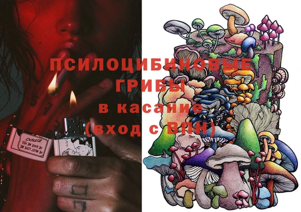 твердый Горно-Алтайск
